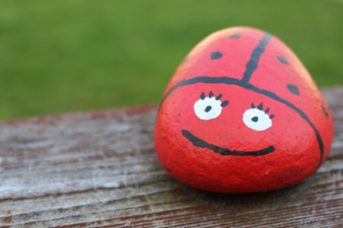 Painted Ladybug Rock